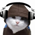 Pilar Montiel avatar