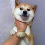 Beatriz Solis avatar